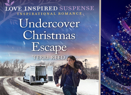 Terri Reed Writes Romantic Suspense